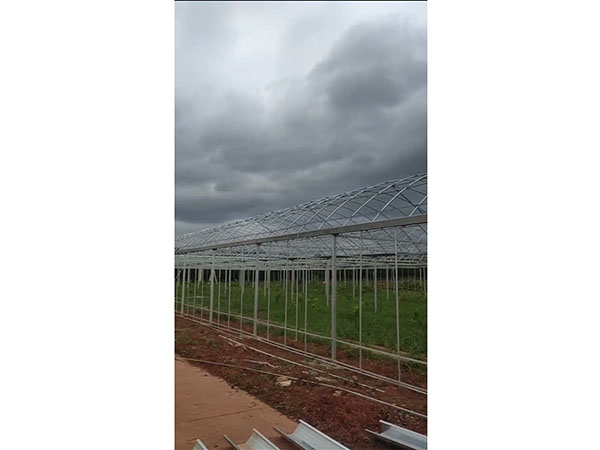 江西新余市龍晟生物科技有限公司（連棟溫室）